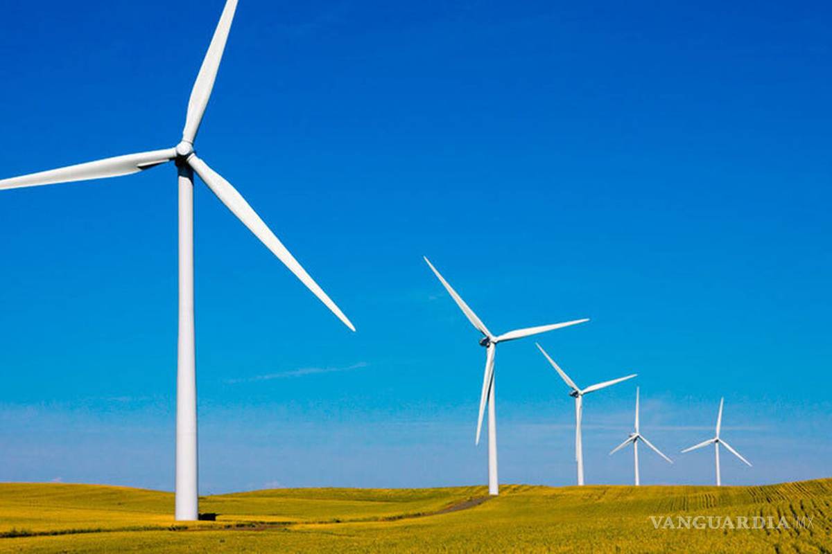 Piden a Sener y CFE reconsiderar bloqueo a energías renovables