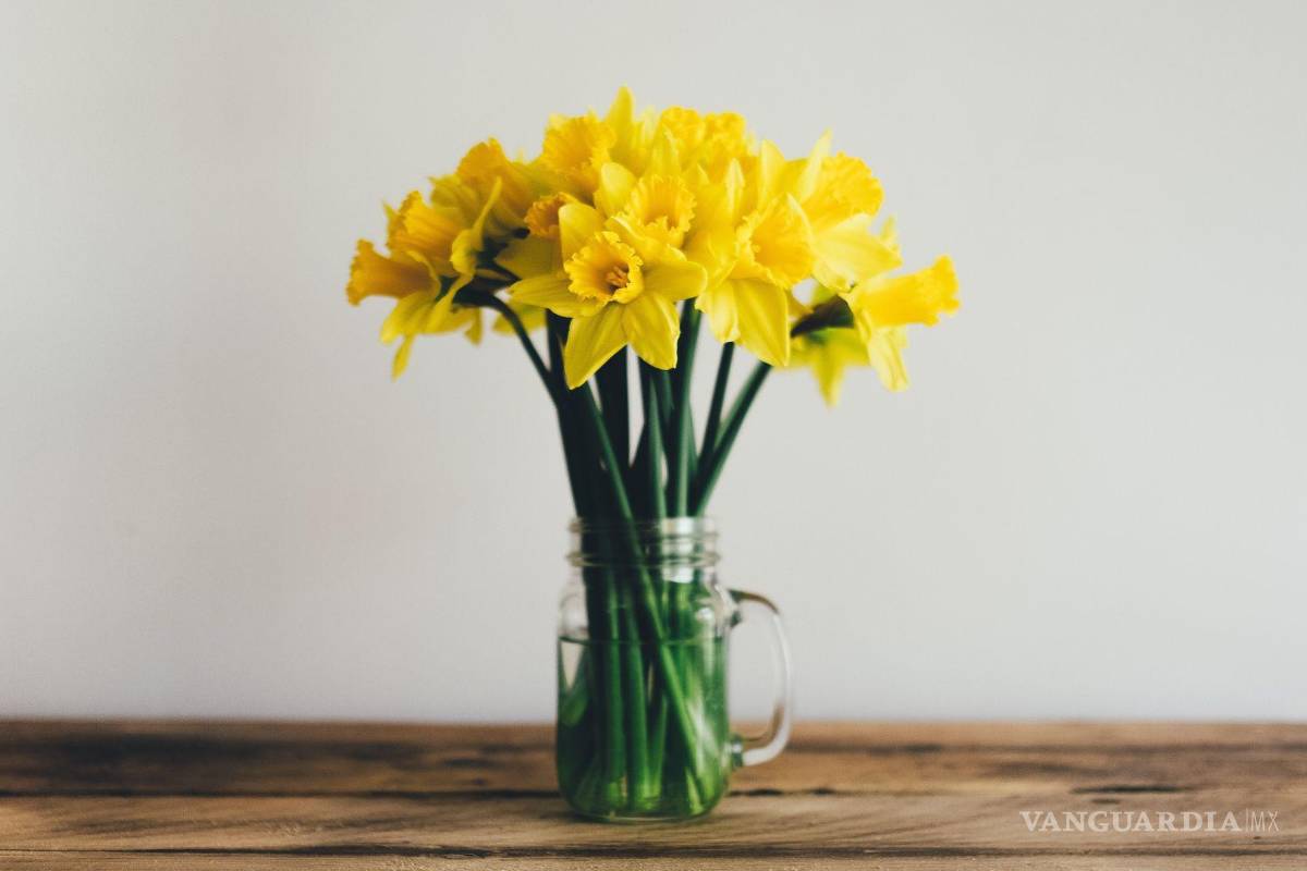 ¿Recibiste flores amarillas este 21 de septiembre? Te contamos la razón