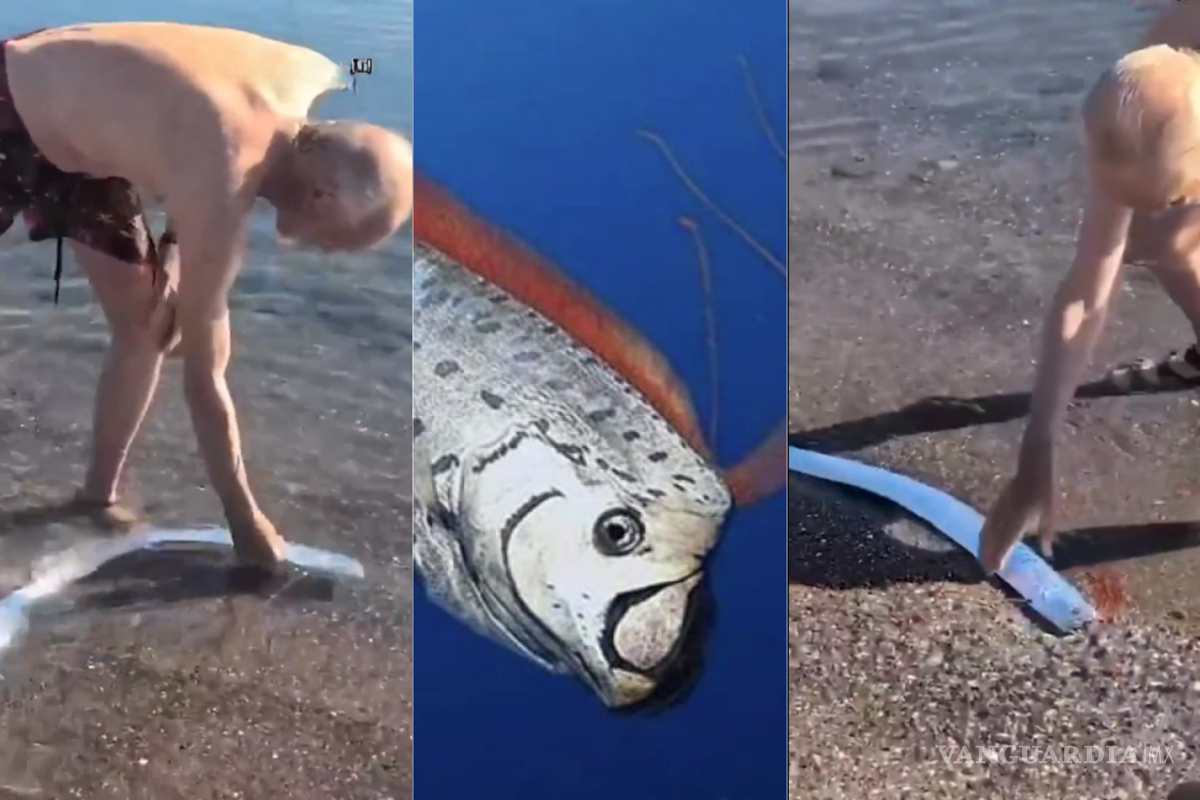 Avistan al ‘pez del fin del mundo’ en la costa de El Quemado, en Baja California Sur (VIDEO)