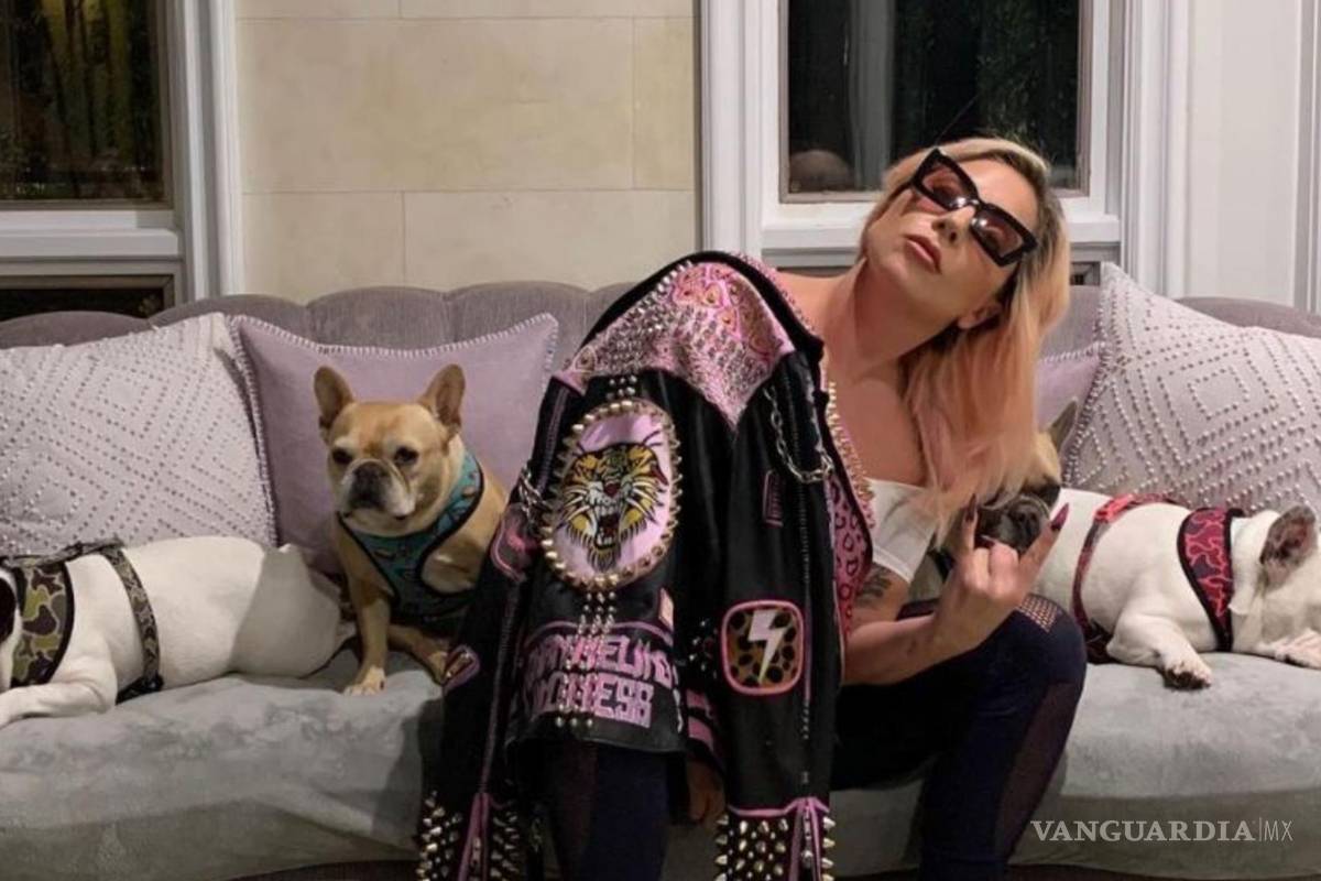 Demandan a Lady Gaga por no pagar la recompensa por el rescate de sus perros