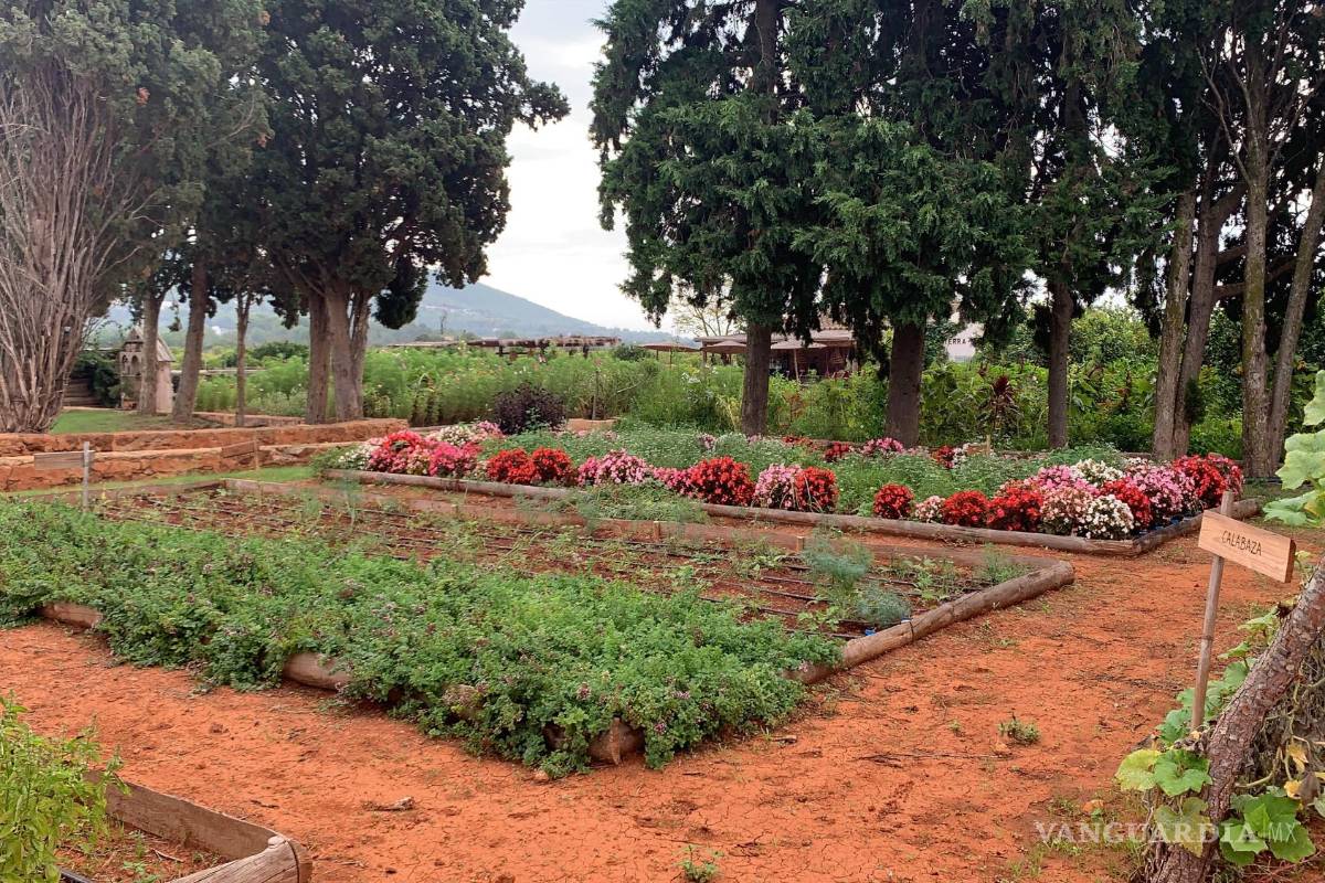 Agricultura biodinámica, la meta, conseguir alimentos más saludables