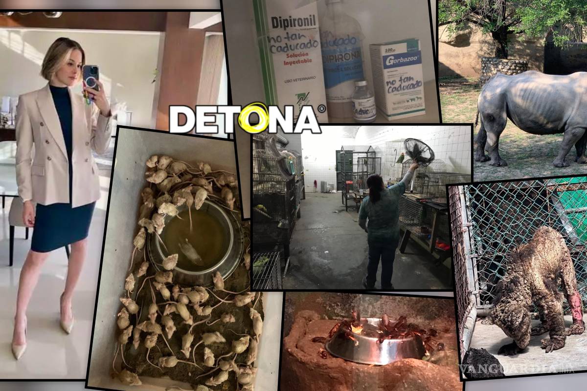 Agonía de La Pastora, cementerio de animales. Episodio 2