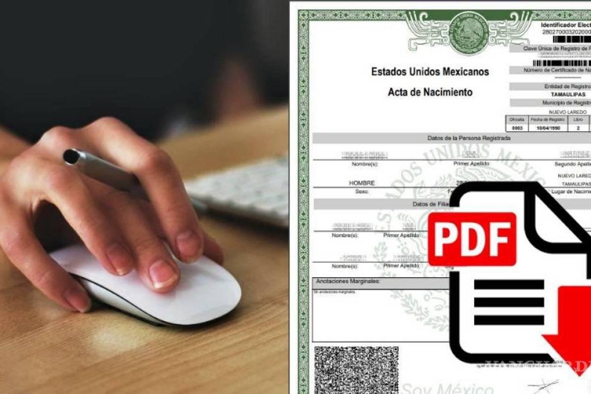 Acta de Nacimiento en línea... ¿Qué hago si no la encuentro en Internet para descargar en PDF en 2024?