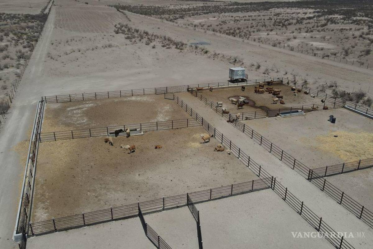 Coahuila: Desarrollo Rural prevé que las lluvias no son suficientes para el 2023