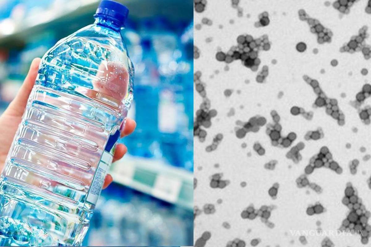 Agua embotellada contiene hasta 240 mil fragmentos de plástico por litro: alerta estudio; OMS y FDA difieren