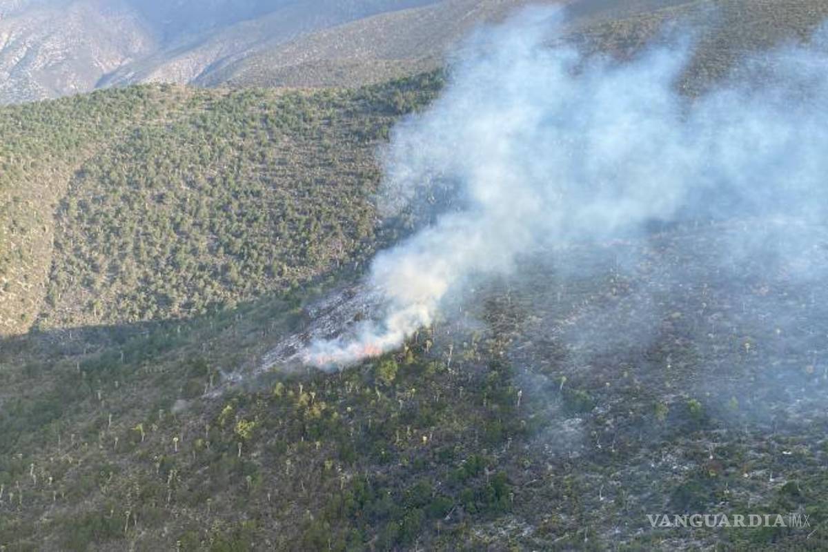 Incendio forestal consume sierra de Galeana, en Nuevo León