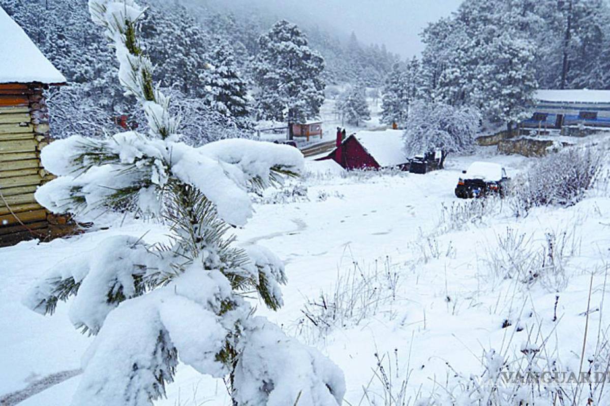 ¡Caerá nieve en la Sierra de Arteaga!... frente frío 19 traerá temperaturas de hasta -6 grados a Coahuila