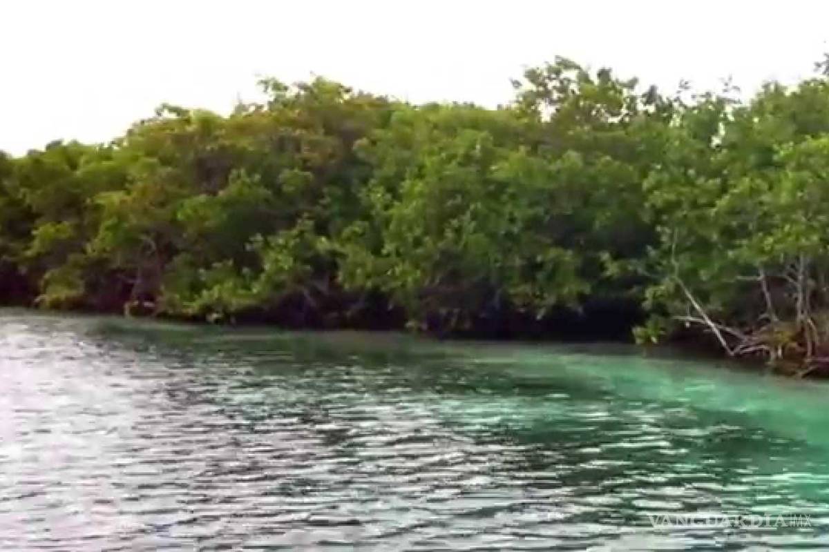 Proponen integrar Tajamar a área protegida de Nichupté