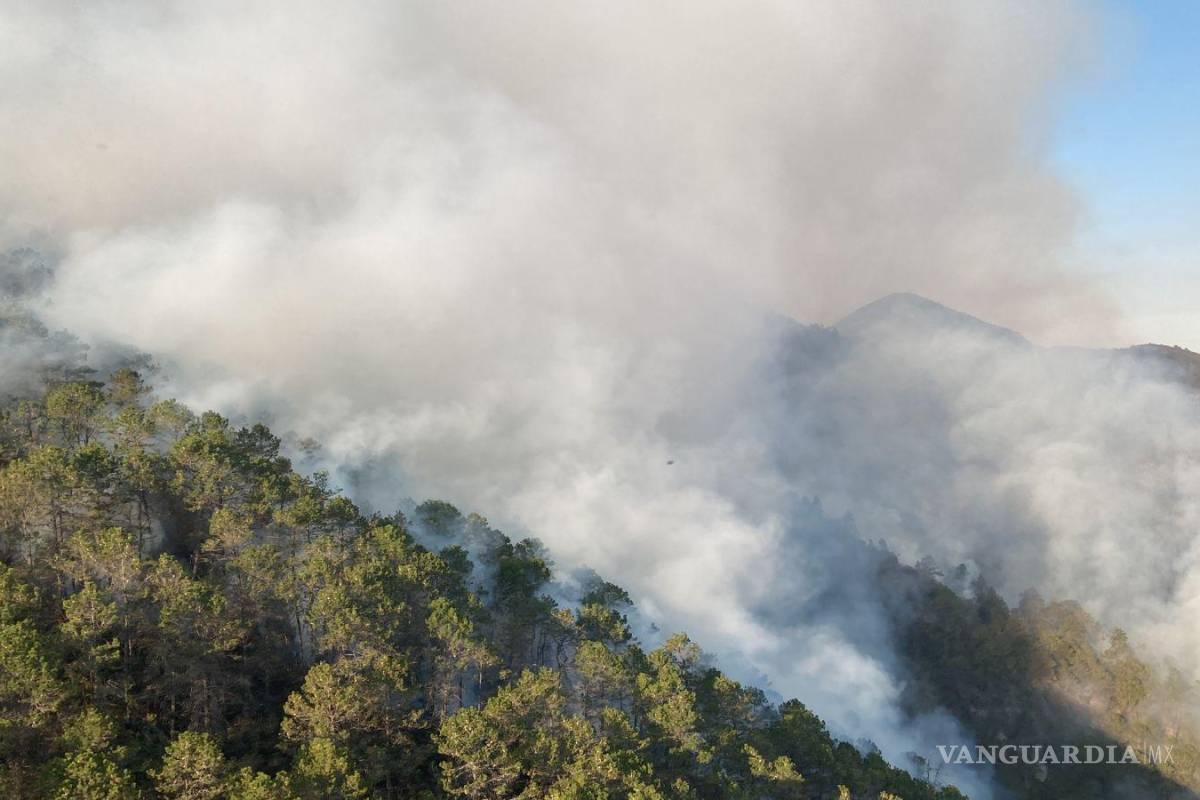 Se buscará más apoyo aéreo para incendio en el Cañón de San Lorenzo en Coahuila