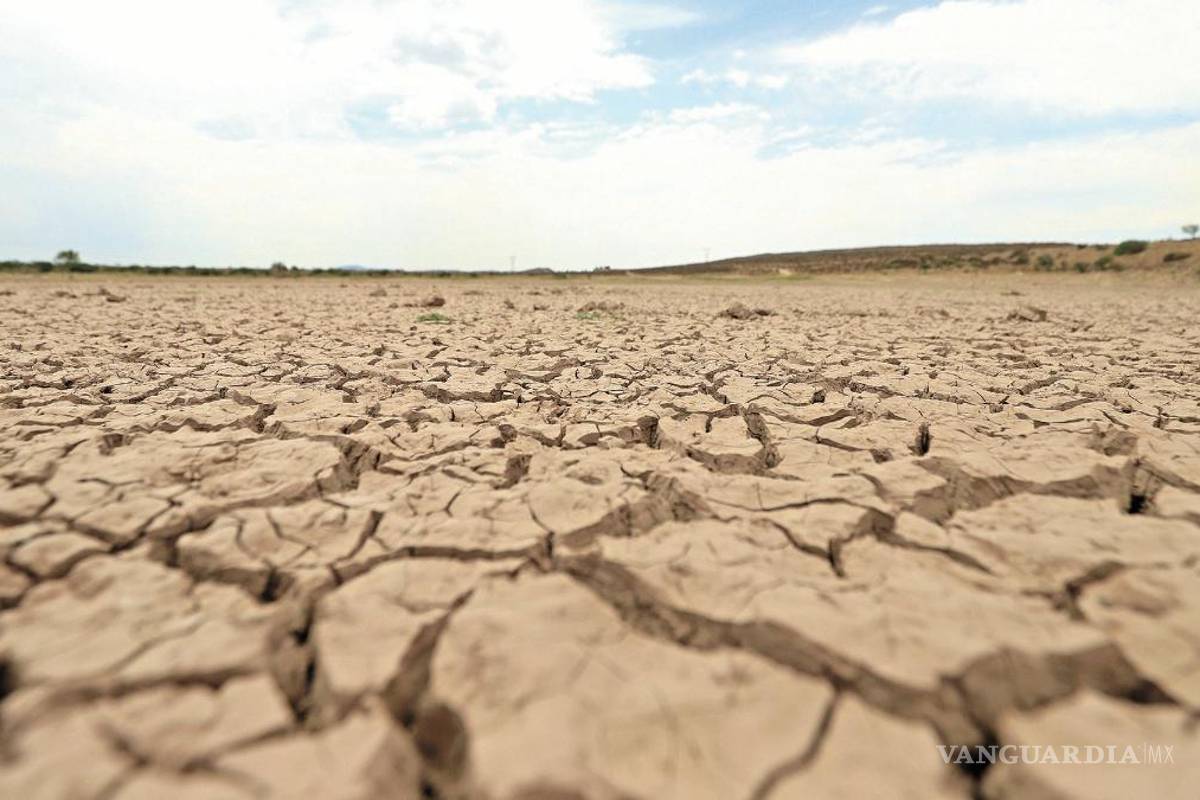 Impacta sequía al 65% de México