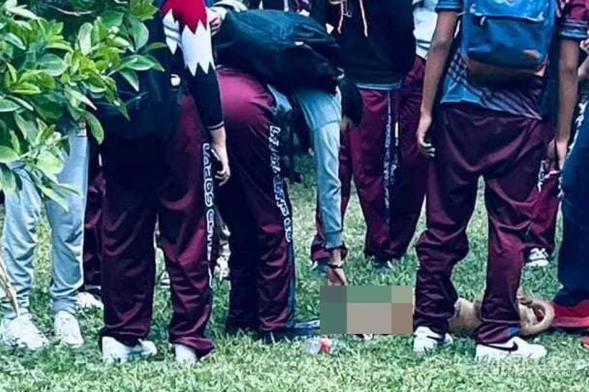 Rescatistas manifiestan su preocupación por casos de crueldad extrema contra mascotas en Saltillo