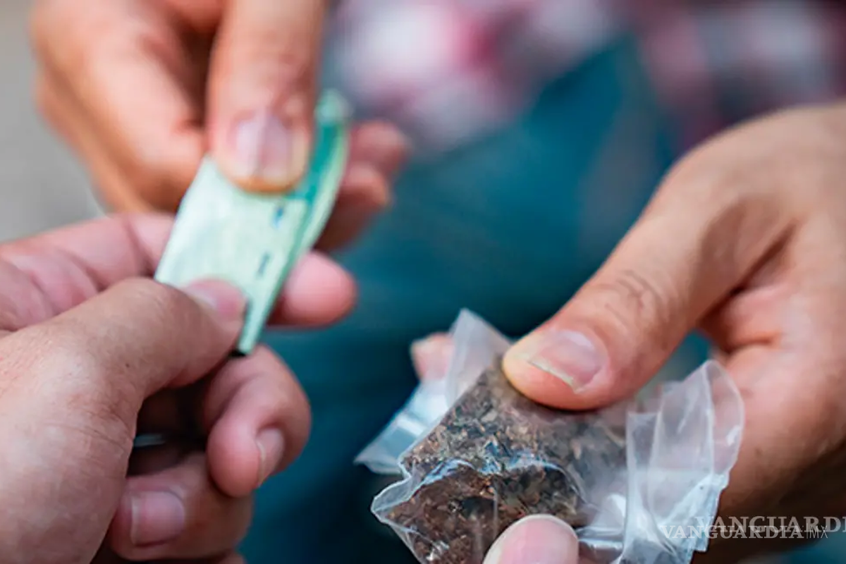 Coahuila: mariguana y cristal se mantienen como las drogas de mayor impacto