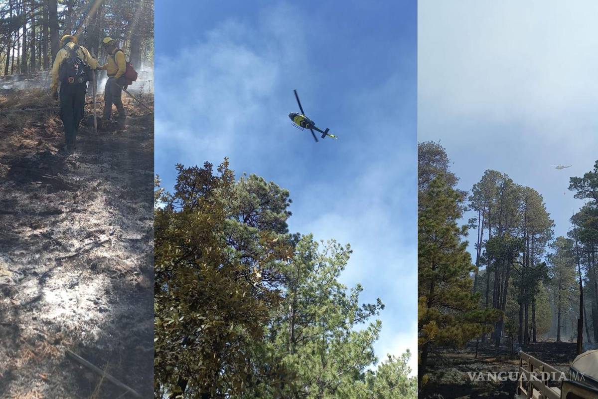 Incendio forestal en Ocampo, Coahuila, afecta 150 hectáreas; control alcanza el 50%