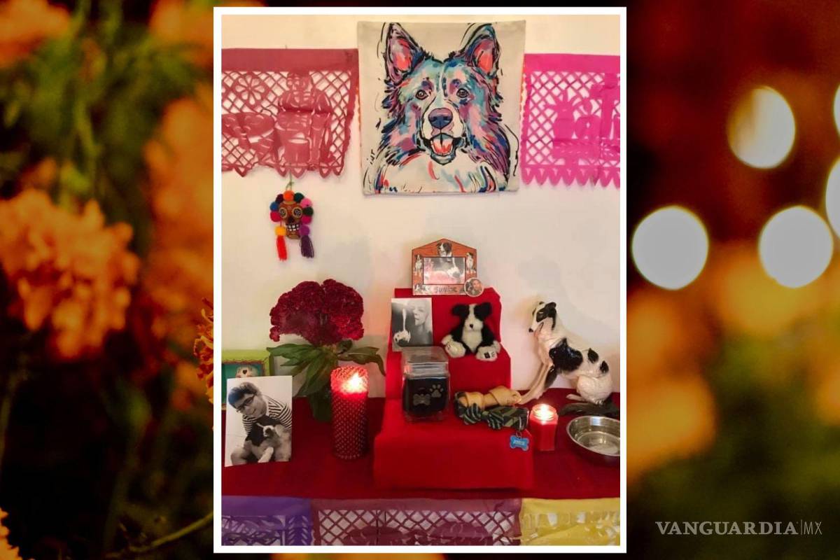 Recuerdan en Saltillo a las mascotas difuntas; el 27 de octubre se les pone ofrendas y un altar