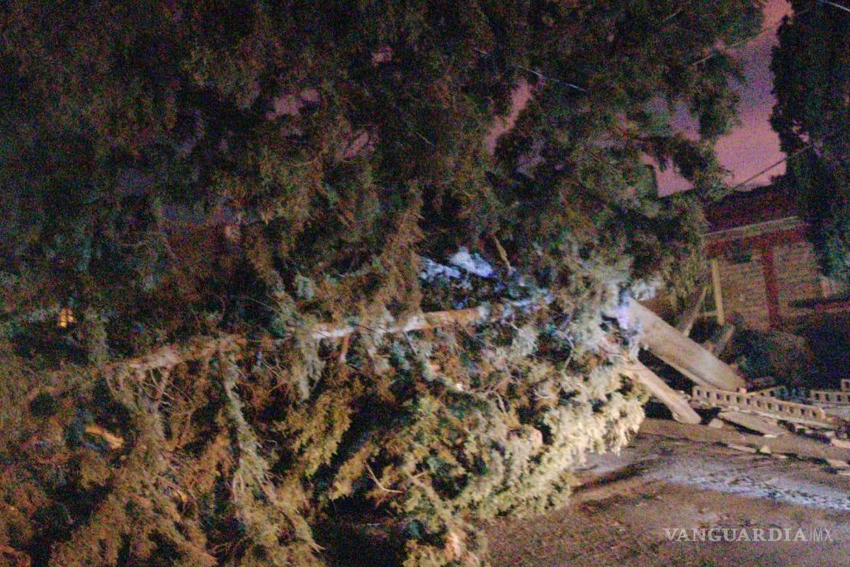 $!Fuertes vientos tumban parte de la fachada de un edificio en la zona Centro de Saltillo