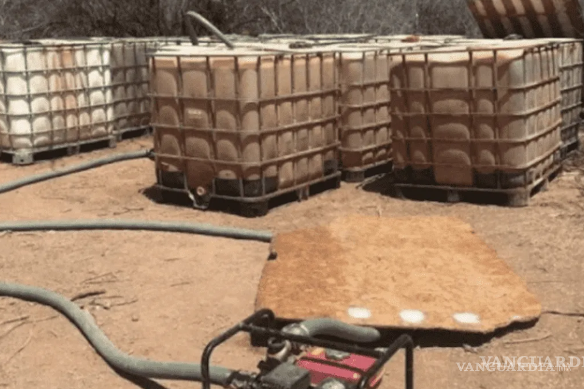 $!A la par, en 2024 se está reportando un nuevo repunte, inclusive por encima de 2023 cuando se rompió récord.