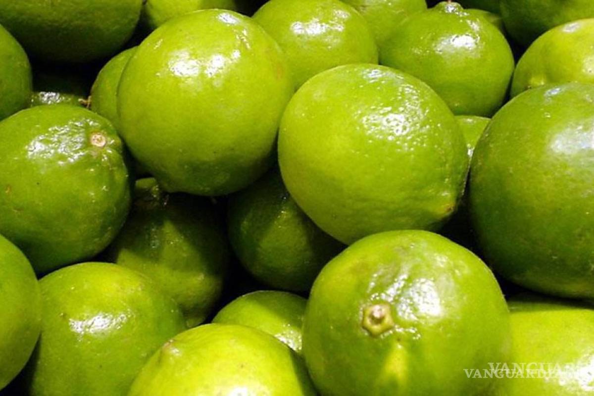 Productores y empacadores de limón en Michoacán paran actividades