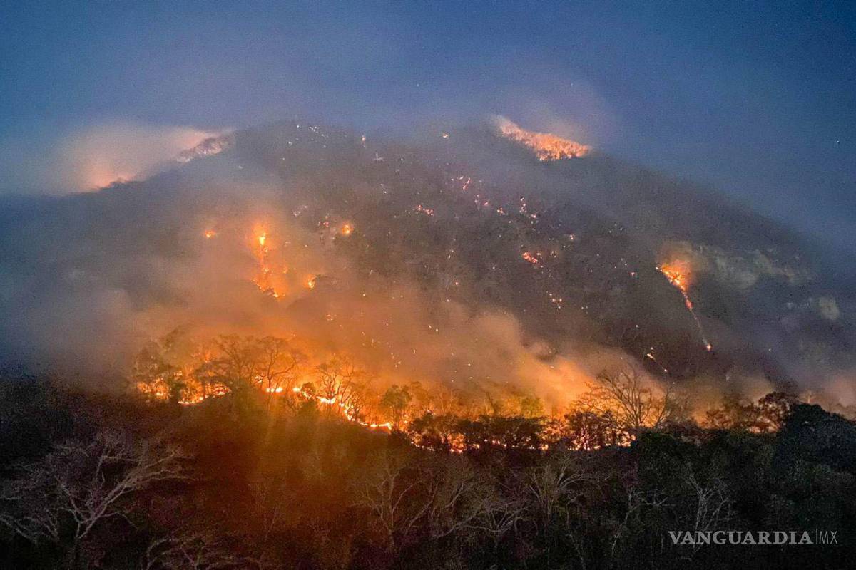 En México hay 95 incendios forestales activos, el número más alto en lo que va de 2024