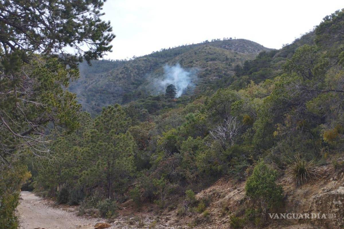 $!El fuego habría iniciado por el impacto de un rayo en un pino.