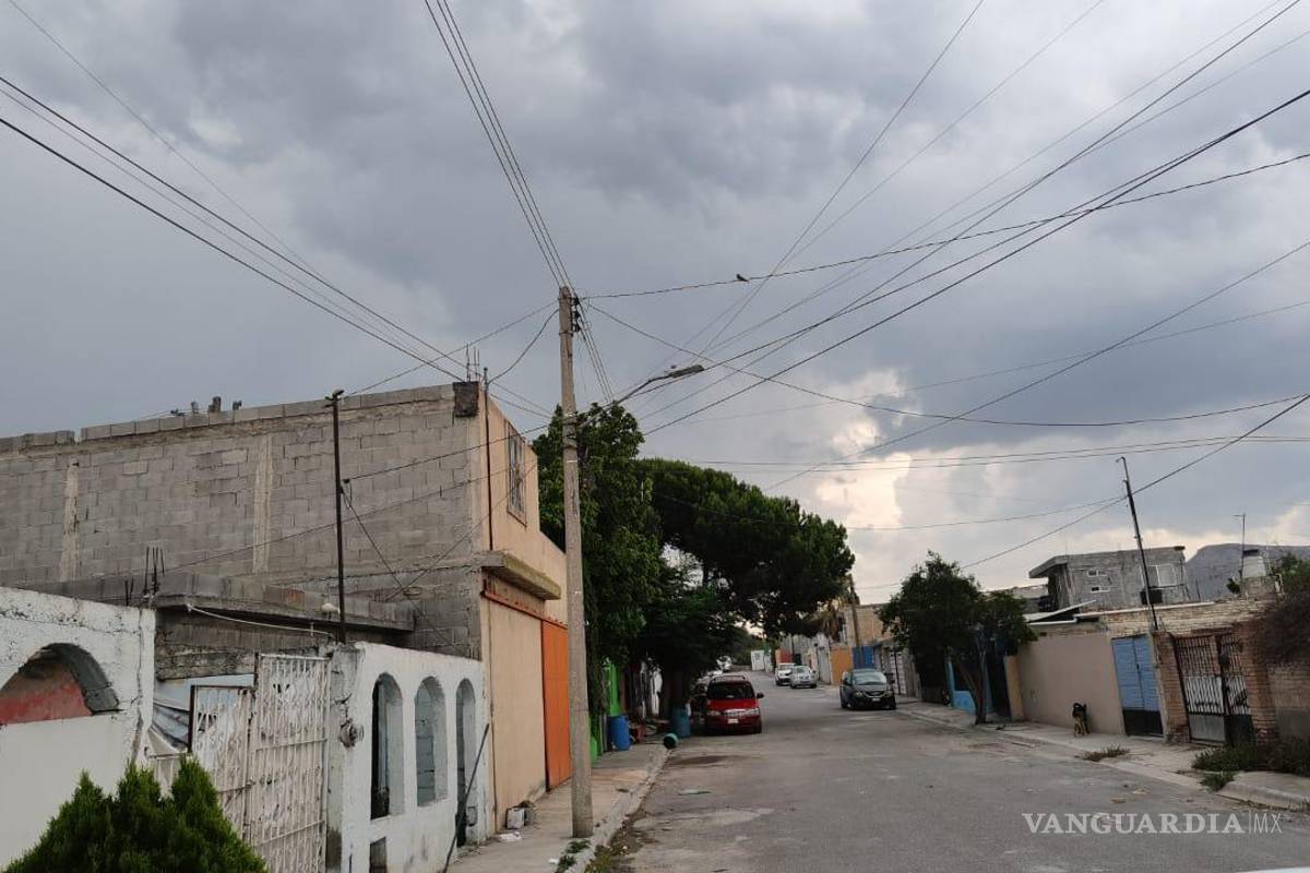 Aquejan plagas a vecinos por problemas con alcantarillado y altas temperaturas al poniente de Saltillo