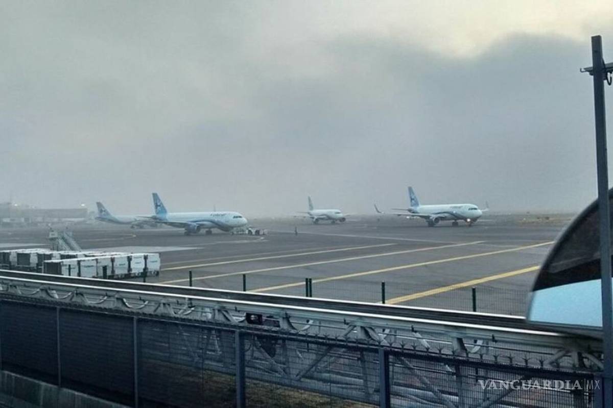 Exigen ambientalistas frenar Santa Lucía; equipo de AMLO reconoce que no hay estudio de impacto