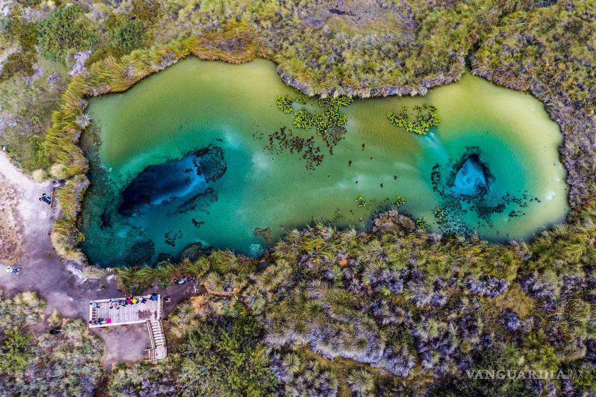 Instalará Conacyt laboratorio en Cuatro Ciénegas