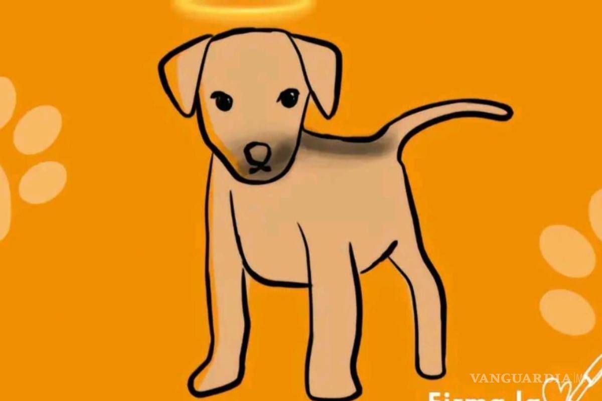 Exigen justicia para ‘Huellitas’, lomito asesinado en Puebla por una adolescente