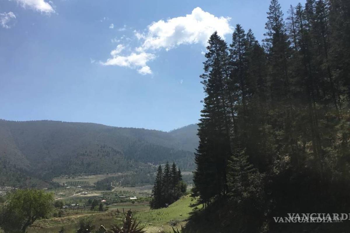 Descarta Arteaga otorgar agua a fraccionamientos campestres