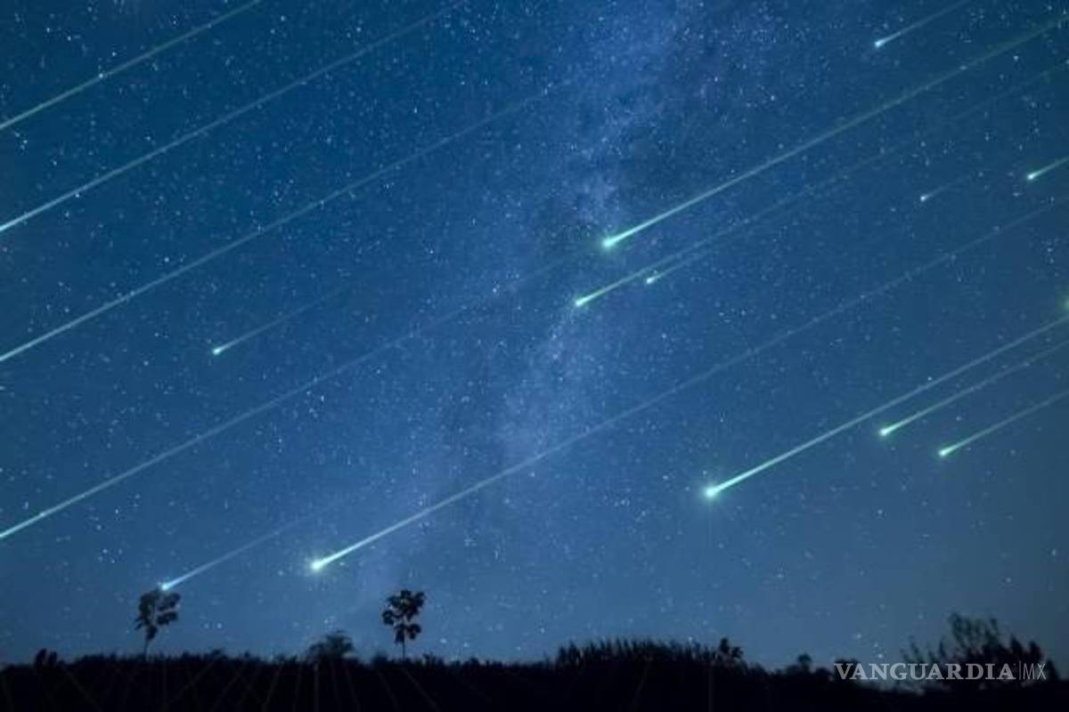Lluvia de estrellas de las Perseidas de 2021 emociona a los observadores del cielo