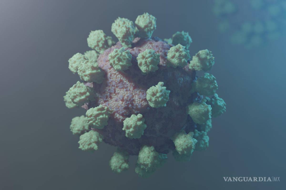 Aumenta a 17 por ciento positividad de COVID-19 en Coahuila; llama Salud a tener cuidado