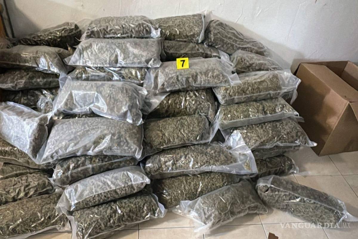 Cateo a inmueble en el centro de Monterrey deja el aseguramiento de 89 bolsas con marihuana
