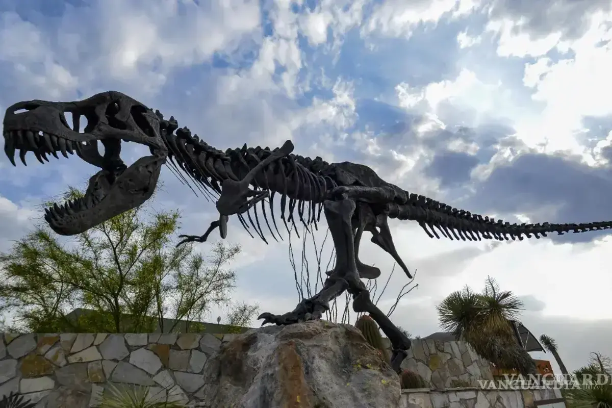 ¿Qué museos están abiertos en Saltillo durante Semana Santa?