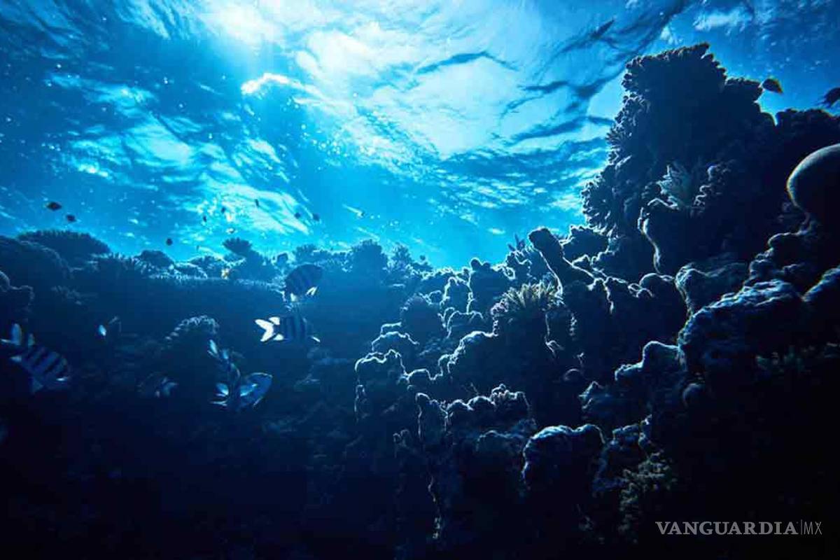 ¿Por qué es más fácil explorar el espacio que el fondo del mar?... cuáles son los peligros y qué hay en las profundidades