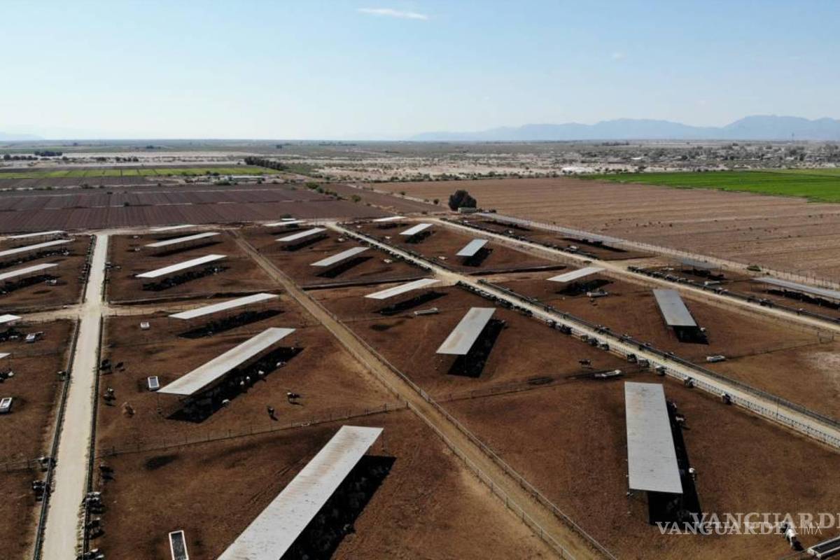 Gana periodista de VANGUARDIA premio nacional de periodismo ‘Rostros por la Igualdad’