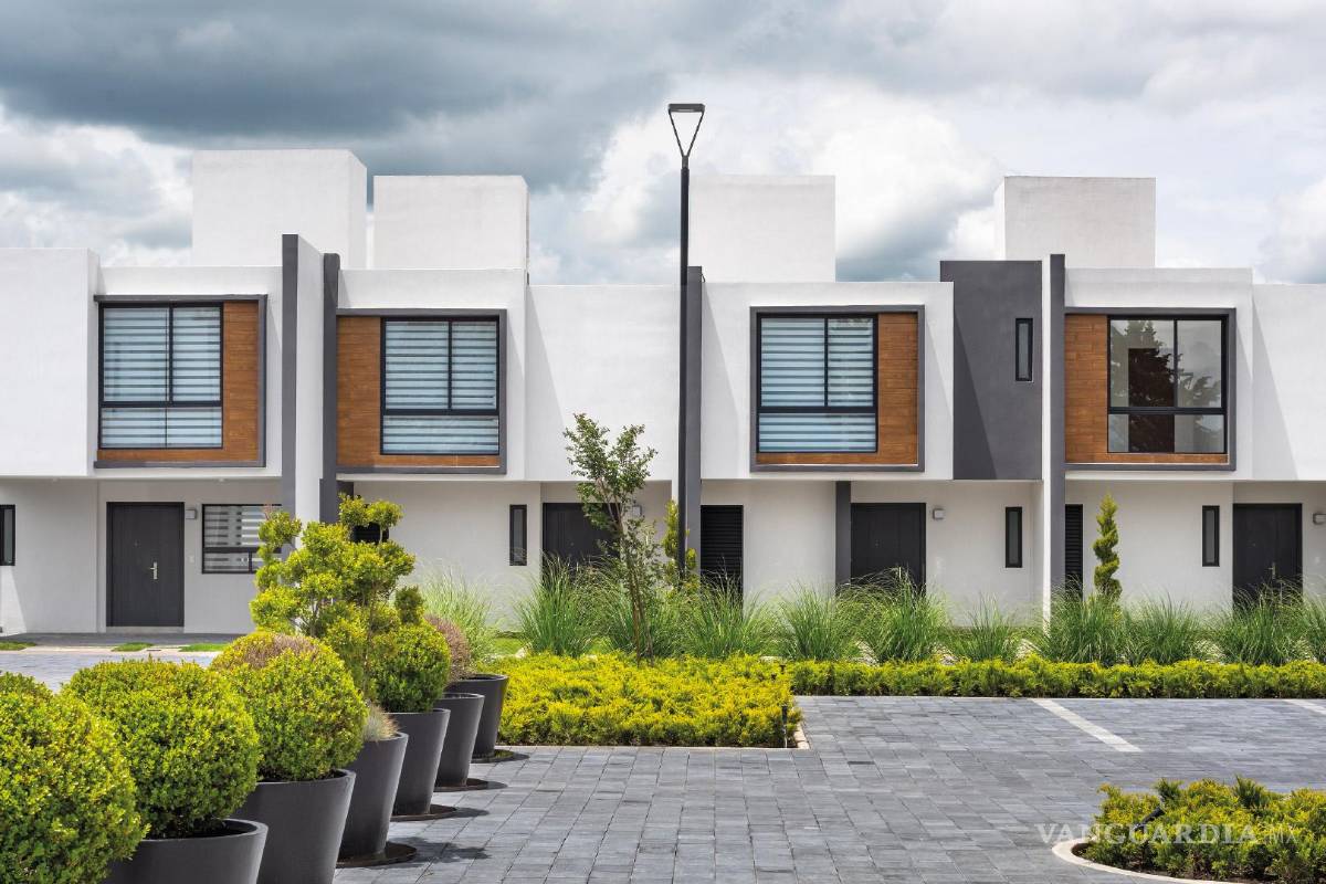 Ruba mantiene tendencia positiva al primer trimestre del 2025