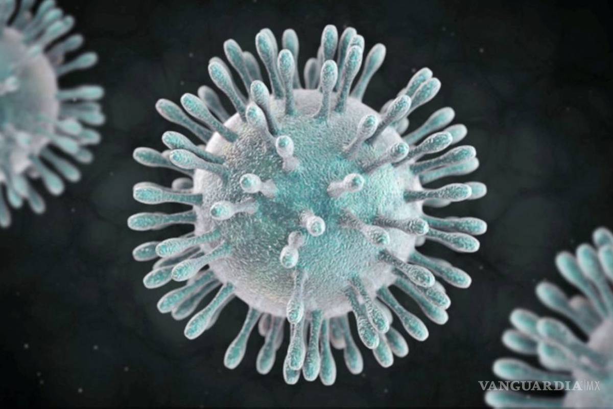 La gripe común es mucho más peligrosa que el coronavirus chino, al menos por ahora