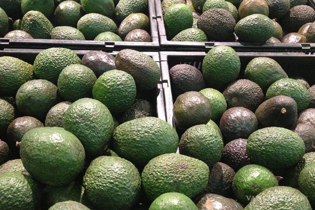 México ya dialoga con EU por freno a importación de aguacates, revela AMLO