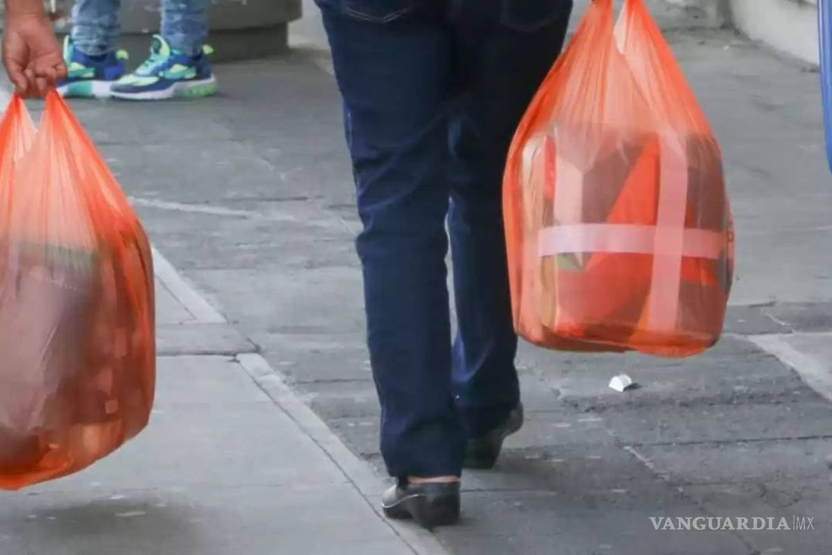 Hasta septiembre castigarán por despachar en bolsa de plástico en Coahuila