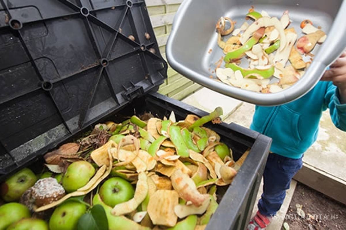 México desperdicia 20 millones de toneladas de comida al año