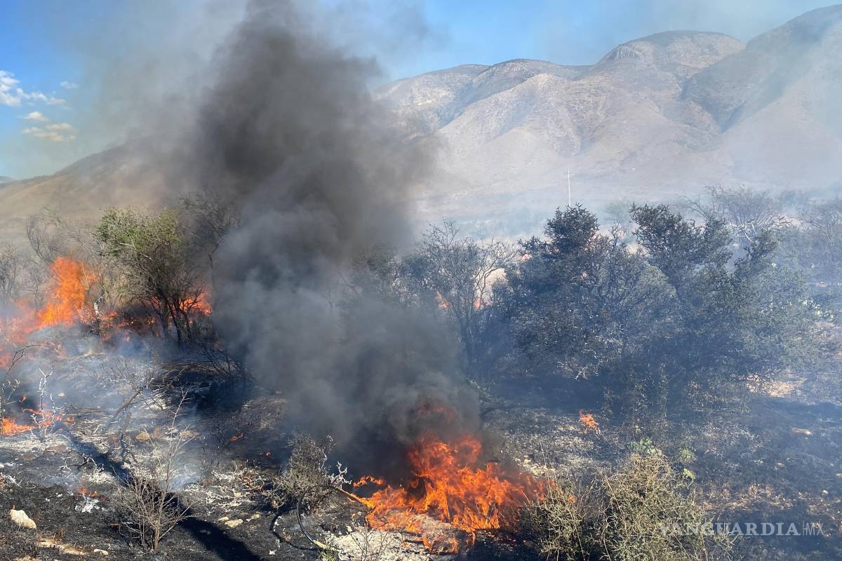 Bajo control incendio en sector Nueva imagen, en Saltillo