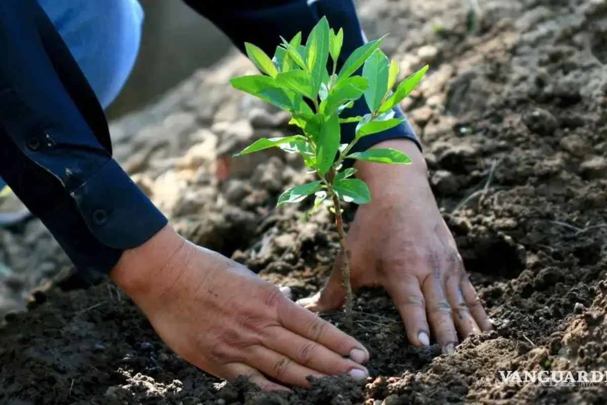 Coahuila refuerza agenda ambiental: van por más árboles, aire limpio y castigo al maltrato animal