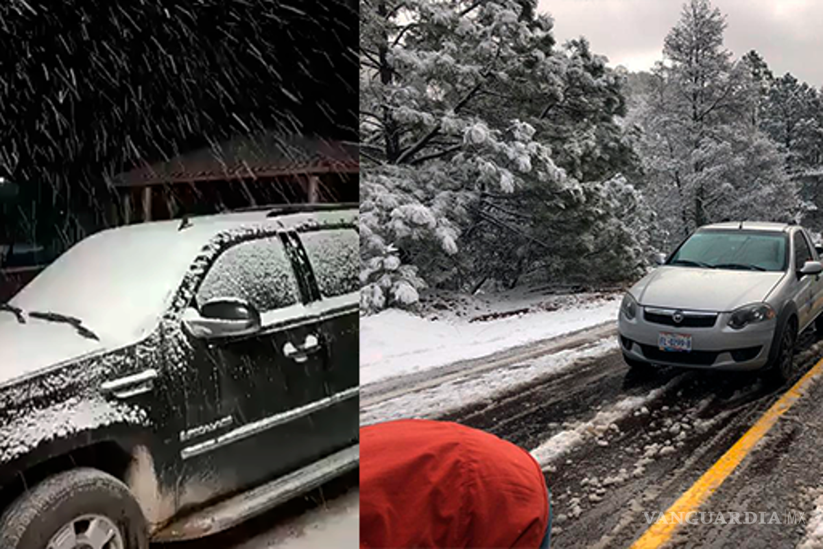 Reportan caída de nieve en 11 municipios de Durango; alertan a población de Coahuila