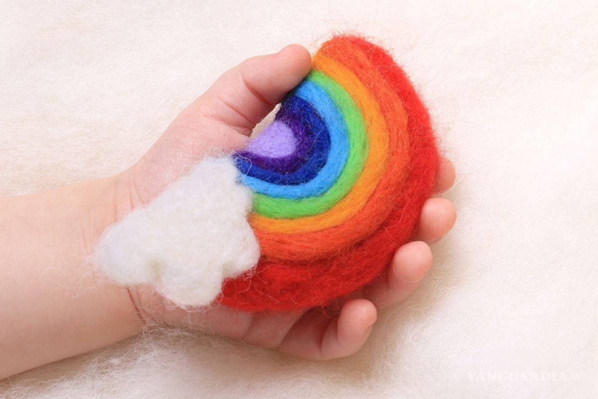 ¿Conoces a los ‘bebés arcoíris’? Surgen dudas entre saltillenses por publicación viral