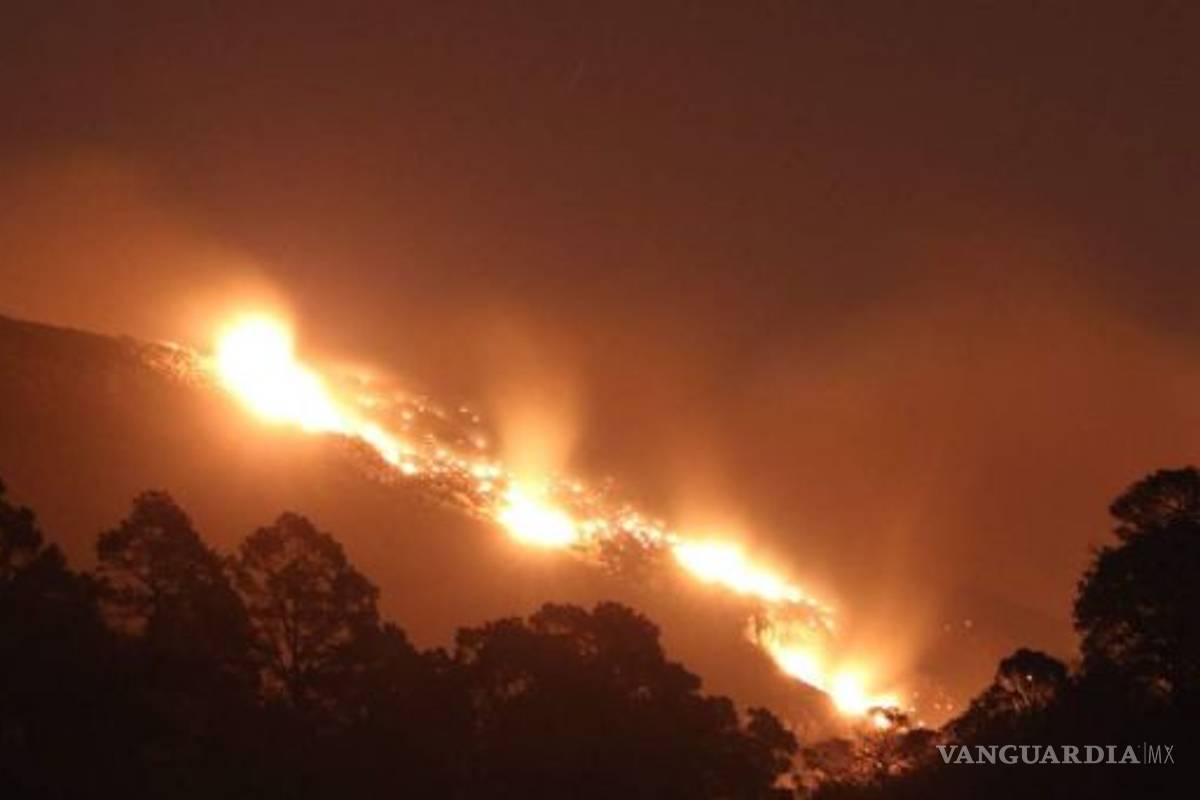 Incendio en la sierra Tarahumara consume área de tala ilegal
