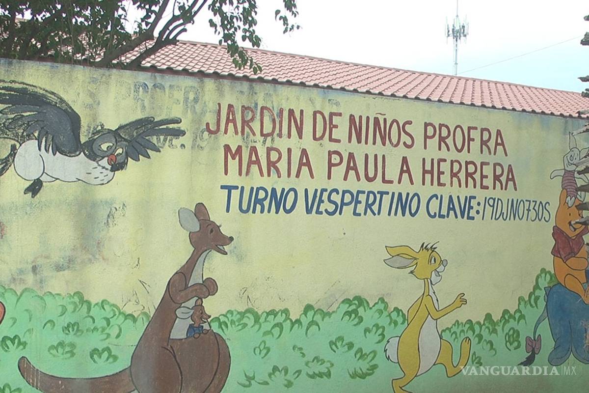 Detectan oruga 'peluche' en escuelas de Nuevo León