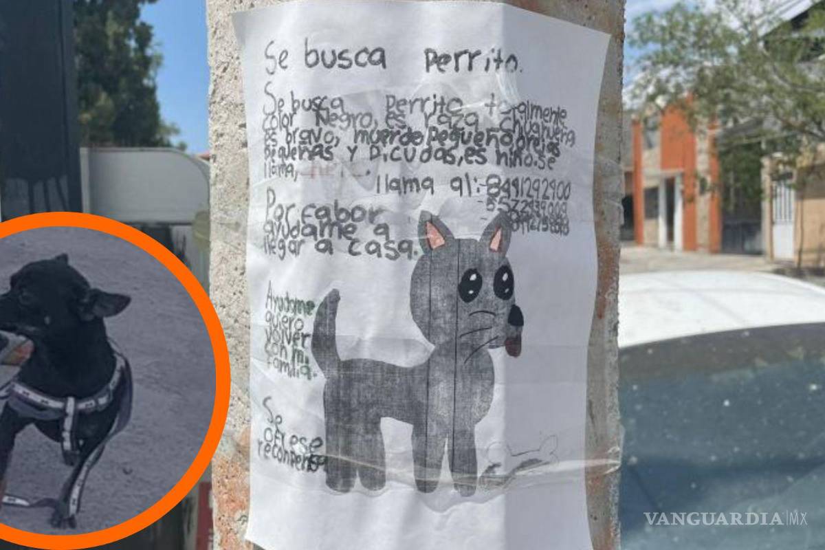 ‘Lo extraño, se dormía conmigo’; niño de Saltillo busca a su perrito ‘Cheis’ con dibujo hecho a mano