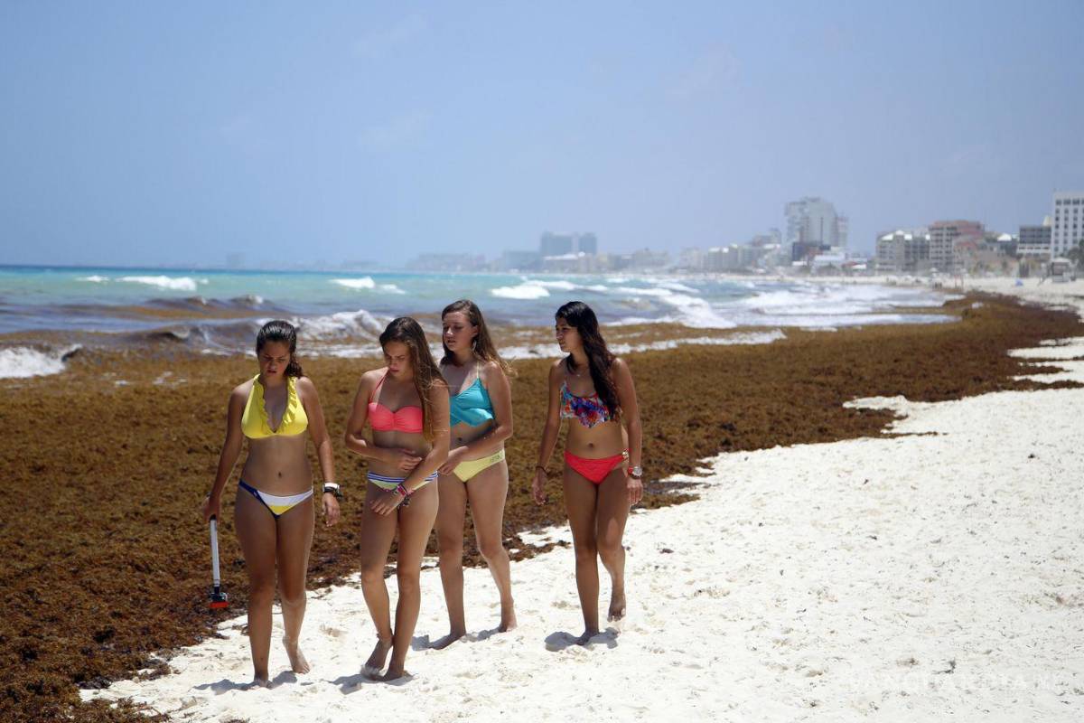 ¿Nadar en una playa con sargazo es peligroso?