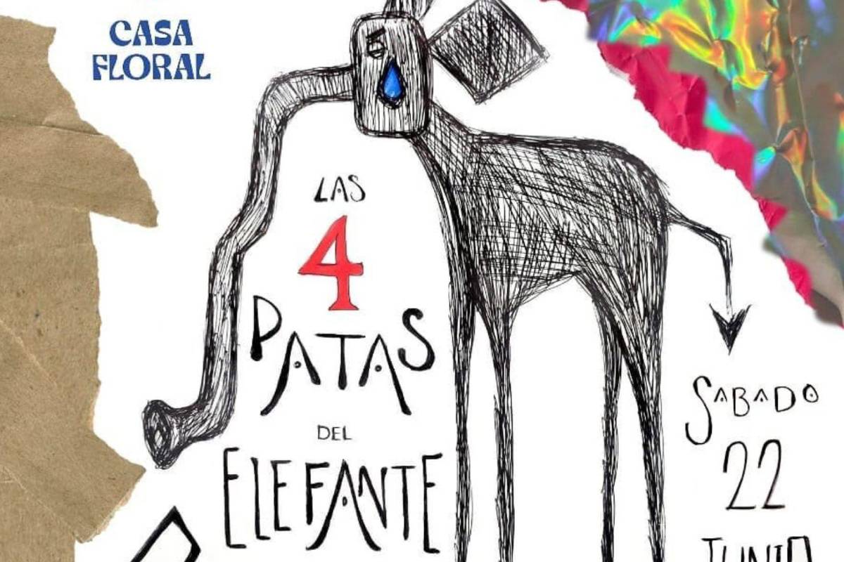 Casa Floral expondrá las problemáticas sociales de Saltillo a través de artistas locales