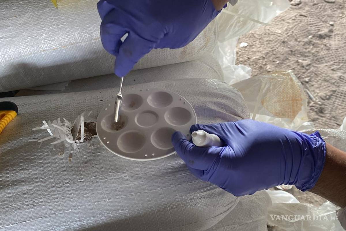 Golpe al crimen organizado: desmantela FGR laboratorio de drogas sintéticas en Nuevo León