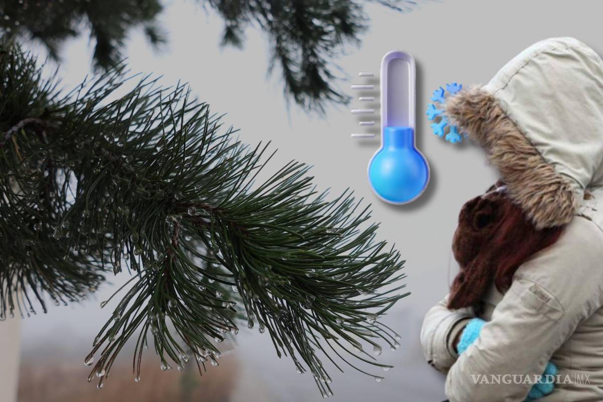 Las noticias más importantes del 13 de enero de 2025 en México